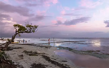 Reflections of a Mayan pink sunset, México