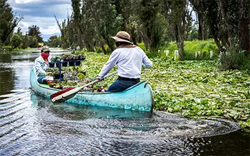 Sale in canoes, Xochimilco, México