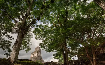 Hidden Temple of the Masks, Guatemala